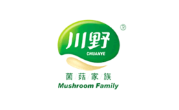 钜派JP